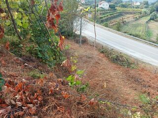 -2126371008056_a0a602e3-e340-44a5-8d40-70c307c48541.jpg
