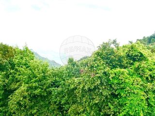 -2126371012057_eddc0050-e91a-4022-af0f-3d5205cf8314.jpg