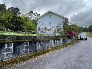 -2126371012060_b56303a6-0509-49dd-9b96-d73a5ba0b4bb.jpg