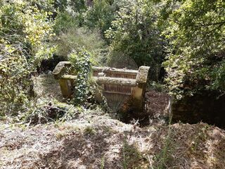 -2126371012069_50cb09d1-083f-456b-aba0-7fc7f8e273f6.jpg