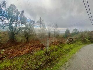 -2126371012158_74cf9b61-9ab2-42b8-845a-c41f070551d1.jpg