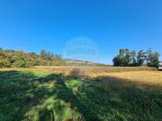 -2126371020018_42f810d6-219c-4b09-b645-bdb2184df5b9.jpg