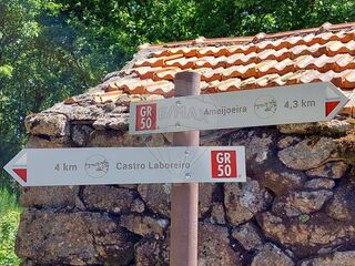 -2126371027004_4be5cf40-dd6f-4748-9300-d5109f04a2d4.jpg