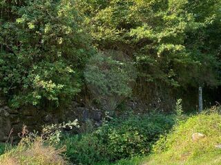 -2126371029012_28a5b88a-bd13-43fc-89b6-915a39c6eabb.jpg