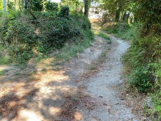 -2126371029012_d811739d-b655-49a4-96e6-14eafa7c18be.jpg