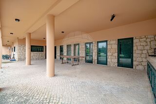 -2126411022032_defe3711-5139-4a38-b911-ef5d4f7ed231.jpg