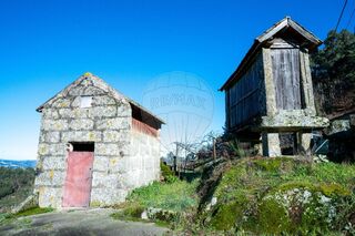 -2126461029003_5f3decaa-1535-43d6-baaa-d2c682088610.jpg