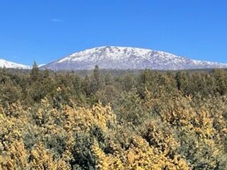 -2126471017026_926fd43b-42bc-4ae1-b9fd-376049bbef55.jpg
