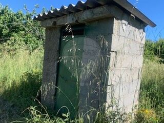 -2126471017030_0581abf3-3e6d-4524-86af-68620b7f1293.jpg