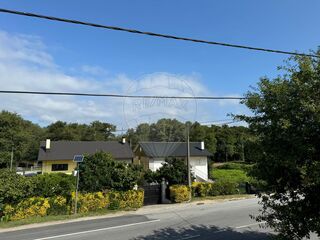 -2126551009007_bafebfb2-817a-4147-ac6a-d659b4298d5a.jpg