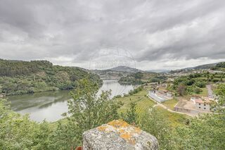 -2126561001082_578f33ed-9290-46d5-9195-3383acd9464d.jpg