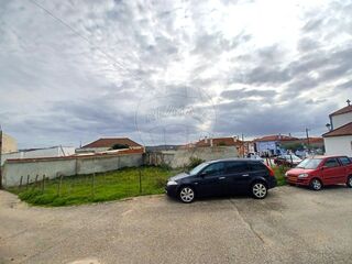 -2126581012005_bf22abd5-b7b6-4ada-b9a4-14bf6bab6566.jpg