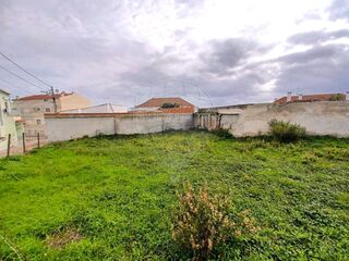-2126581012005_d25ce1a6-8fa5-4e9b-bd88-6c8ae6835ba6.jpg