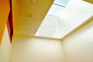 -2126601025013_83408725-0c13-4e94-a4de-07695361b295.jpg