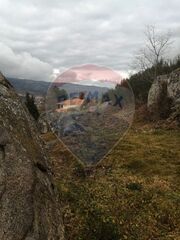 -2126611007007_b5626845-b9c6-41ab-8390-13e066e1d222.jpg
