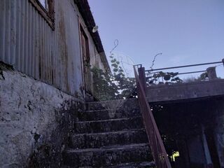 -2126611007011_309f2816-2c32-4eef-a4ef-4d0ce9cf8f24.jpg