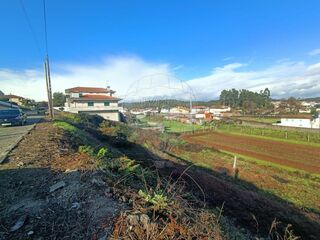 -2126631003091_90d00a83-ba1e-4e0f-863e-2cc2af06560f.jpg