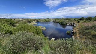 -2126661009079_31861d04-f91d-4214-a105-8d21b709244f.jpg