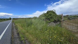 -2126661009079_b8ad5930-ad3b-4abd-865c-12cf6cfb6a07.jpg