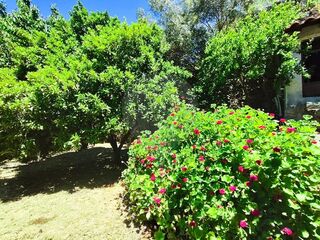 -2126661014082_02c8ab93-7245-4d8e-8e88-d0aef5dc2be1.jpg