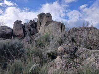 -2126661019053_aefb98e0-f0a9-46be-9eea-074bf619317e.jpg