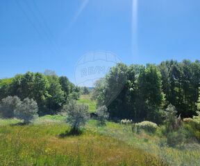 -2126661028023_a3c73aab-0090-49af-9d23-eb5052234808.jpg