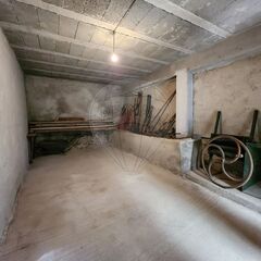 -2126661030005_3ef5ec23-8519-4455-99c8-dcfd837a4bba.jpg