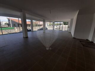 -2126741017028_8088820c-23aa-44ee-b1f8-b34fbad6e5ae.jpg