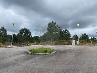-2126741017034_09f92c5e-23c7-4209-9d61-ddce7b24aca7.jpg