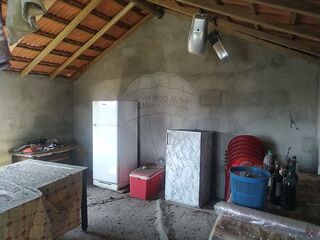 -2126811005016_f364f79e-d029-489a-b3f3-80fa2bf549e7.jpg