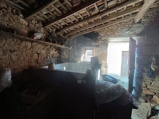 -2126811005080_5c984a96-4d82-43f3-97f3-bfa9d5ae0e99.jpg
