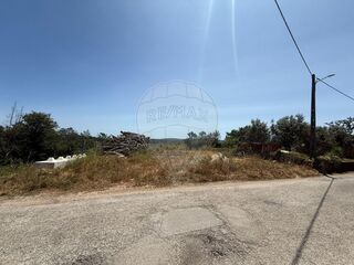 -2126811016046_de7ac62d-4b64-4fea-88b7-a27fc4454fd4.jpg