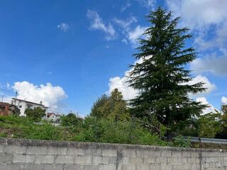 -2126861009011_96e31c72-af09-4c9f-812d-c9921b1d4697.jpg