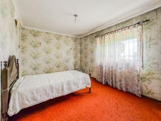 -2126861010013_8587b4ac-0bc9-42db-a8d8-0abafce3c3d3.jpg