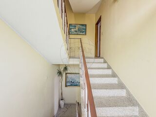 -2126861029014_407535fc-b5b9-4731-a6c5-16f19cc0c322.jpg