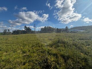-2126861077001_bf154dcb-ee05-4c43-a2a5-c3b2fb6ac0a3.jpg