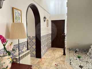 -2126911013049_cd5113ff-5109-40da-958c-261e4adede8b.jpg