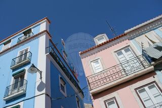 -2126911027016_10718f6c-c0b6-4d77-8d44-c7c6c248edc4.jpg