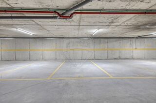 -2126971006034_b12a7e5d-63fc-4554-baaf-c943e427cfa1.jpg