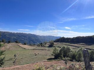 -2126971015004_3f698c48-5395-454a-901a-dc4aadadbad9.jpg