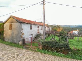 -2126991010014_3d1689f6-8835-45c4-acab-a724e3e1e85d.jpg