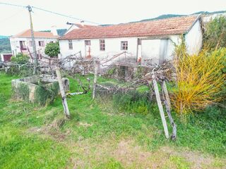 -2126991010014_ef6c7cc4-b292-4ee5-81f1-92e41a086bf5.jpg