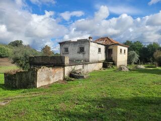 -2127141004005_bdc412e0-1efe-4db4-ab8f-58560f5c7a4f.jpg