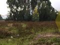 Terreno novo com 1956m2 Santo Onofre Caldas da Rainha para comprar - viabilidade de construção