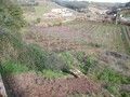 À venda Lote de terreno com 230m2 T3 Alvorninha Caldas da Rainha