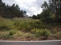 Land with 3100sqm Costa de Prata Vidais Caldas da Rainha - construction viability