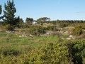 Terreno com 3200m2 Costa de Prata Reguengo Grande Lourinhã - água, electricidade, garagem