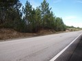 Land neue with 34707sqm Urzais São Martinho do Porto Alcobaça