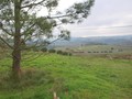 Terreno com 2800m2 Fanadia São Gregório Caldas da Rainha para comprar - excelente vista