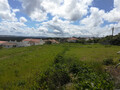 Terreno com 2976m2 Costa de Prata Serra do Bouro Caldas da Rainha à venda